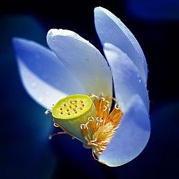 《叛变：沙漠风暴》开发商新世界互动遭裁员